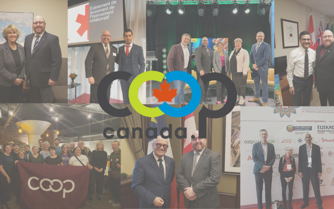 CMC Co-op Adventures - banner