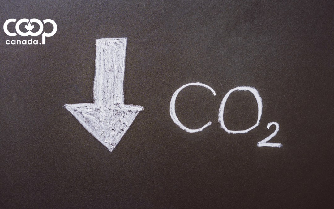 Demande de financement auprès du Défi pour une économie à faibles émissions de carbone