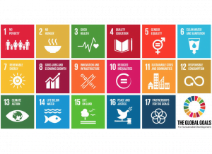 Rencontre de l’ONU pour la Journée internationale des coopératives